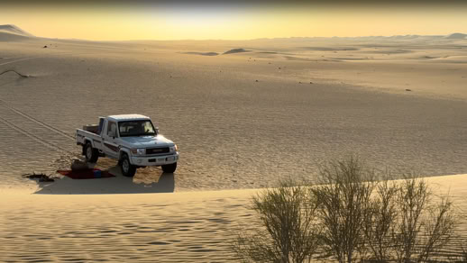 قناة علي محمد علي قناة علي محمد علي