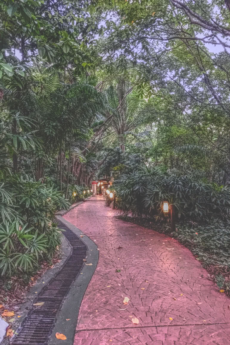 musalam ali almusalam musalam.net علي المسلم notes مفكرة