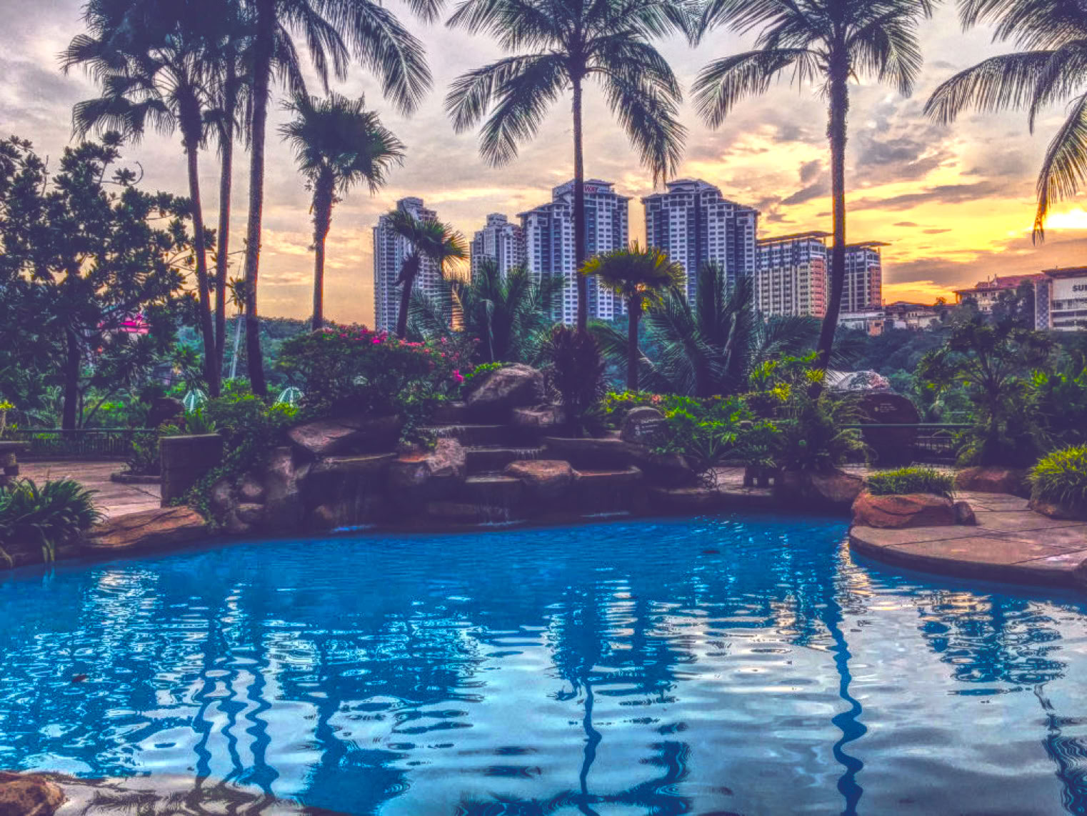 musalam ali almusalam musalam.net علي المسلم notes مفكرة